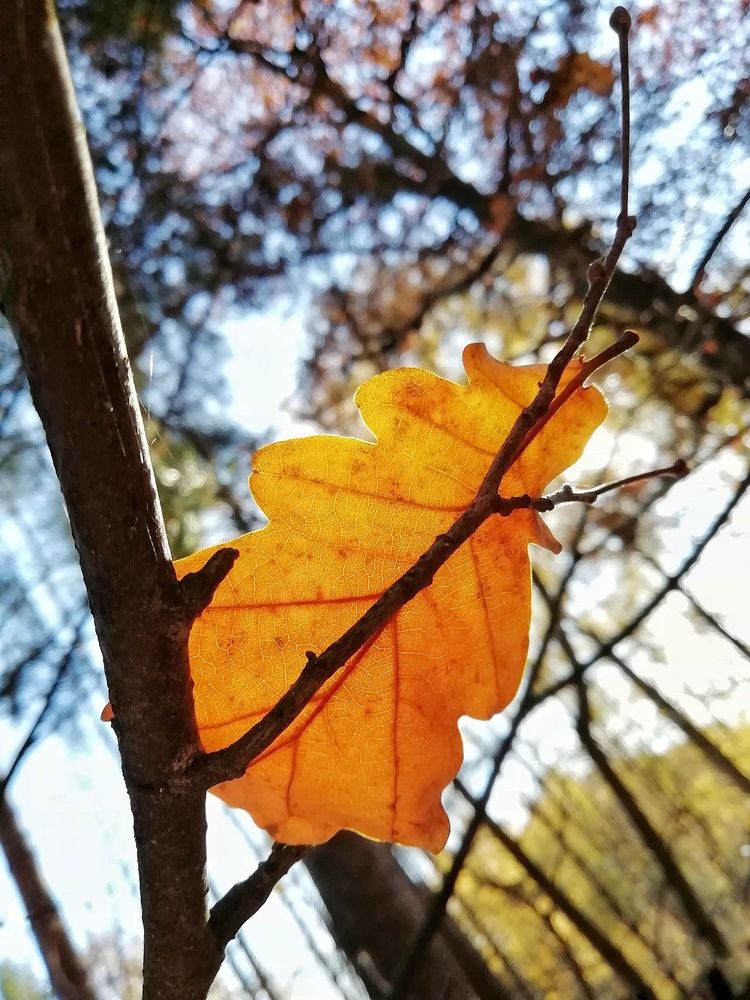 Photograph by Екатерина Чижевская