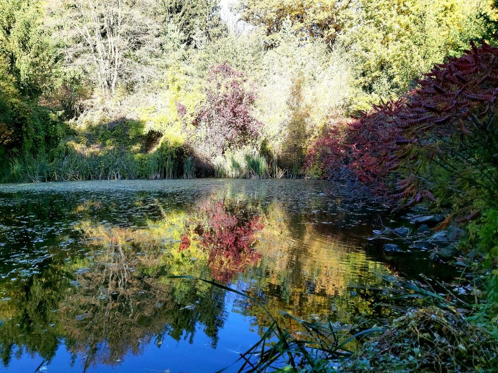 Photograph by Оксана Боднарчук