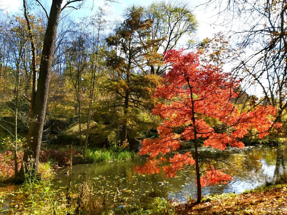 Photograph by Оксана Боднарчук