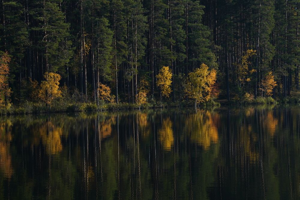 Осень на Малом Ольховском озере