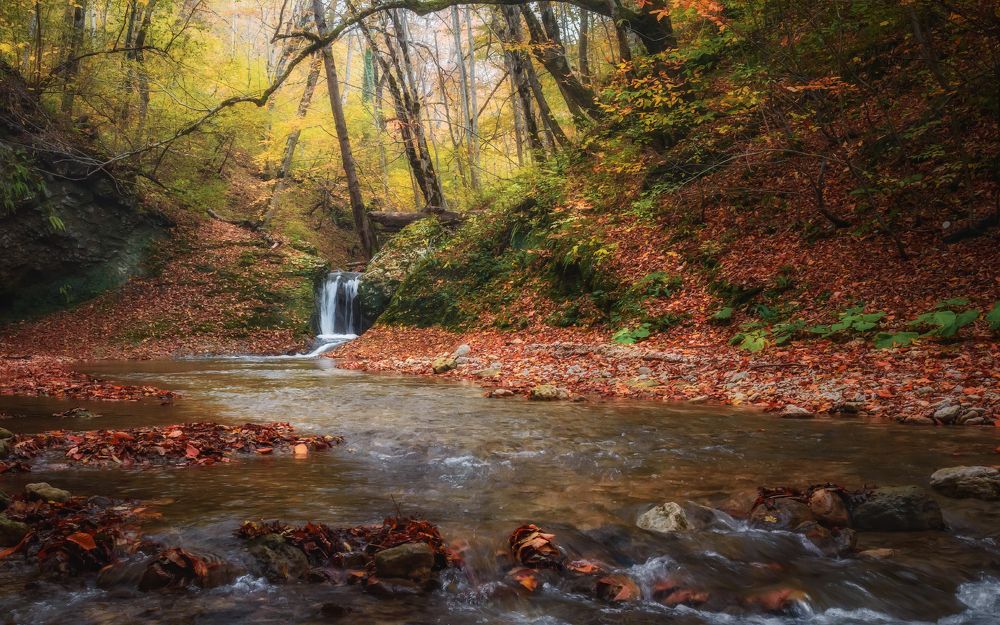 По осеннему Мишоко