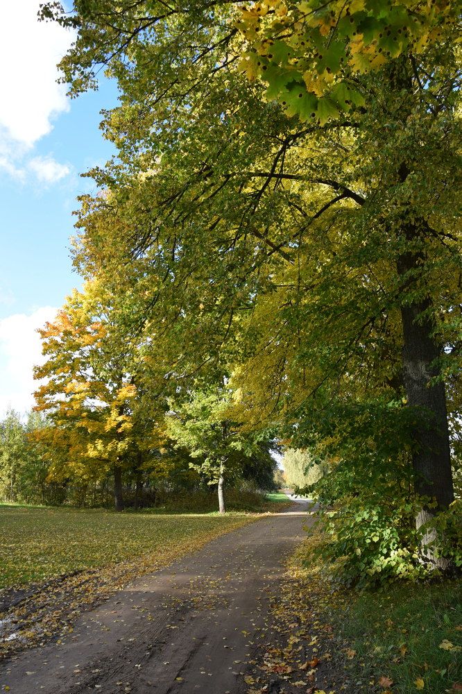 Photograph by Jolanta Zutiene