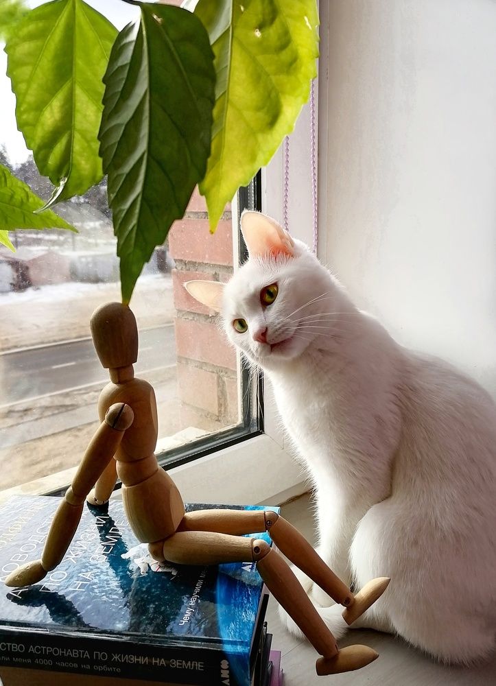 Photograph by Светлана