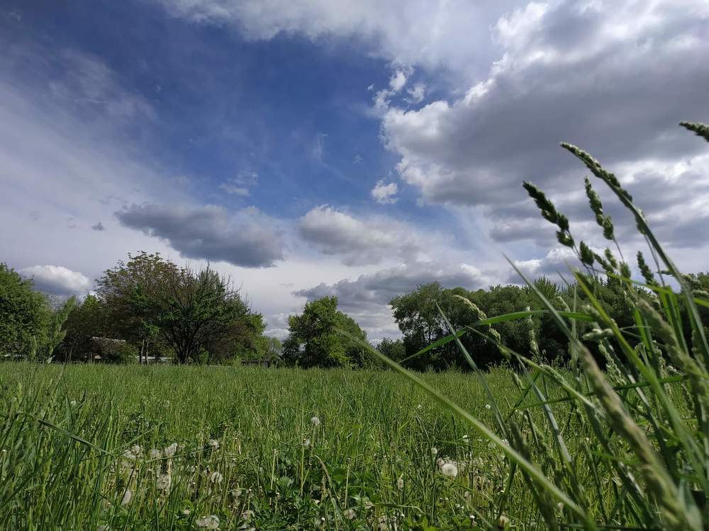 Photograph by Галина Лысых