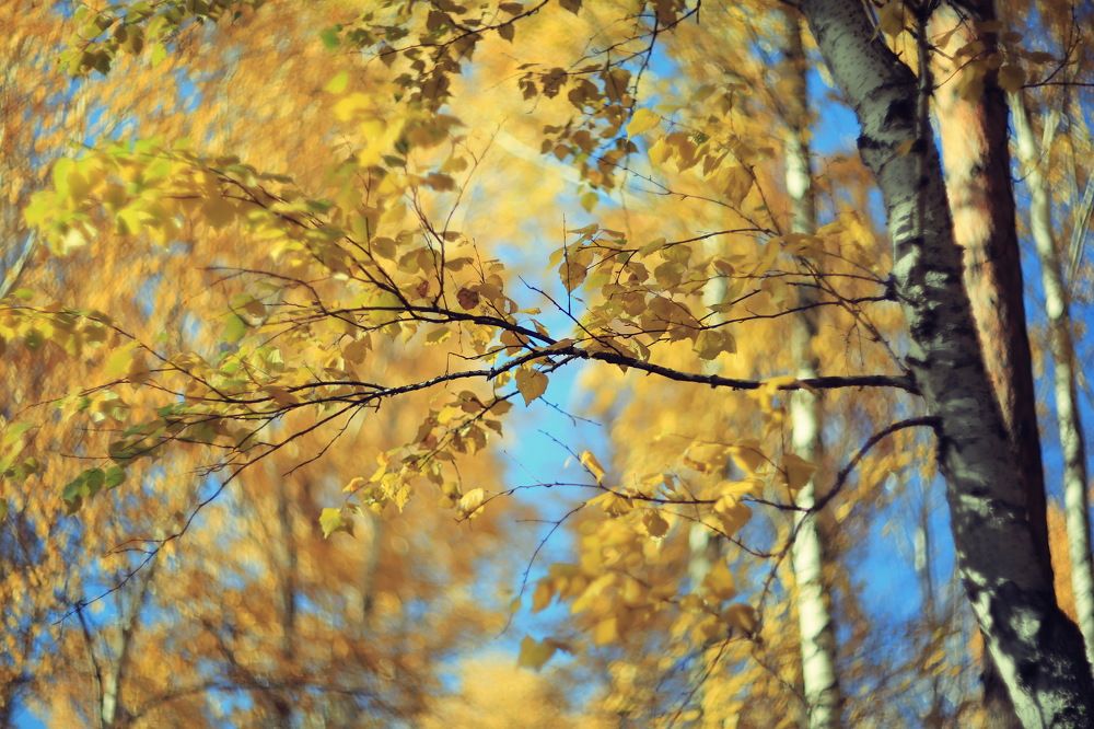 Photograph by Ирина Сушко