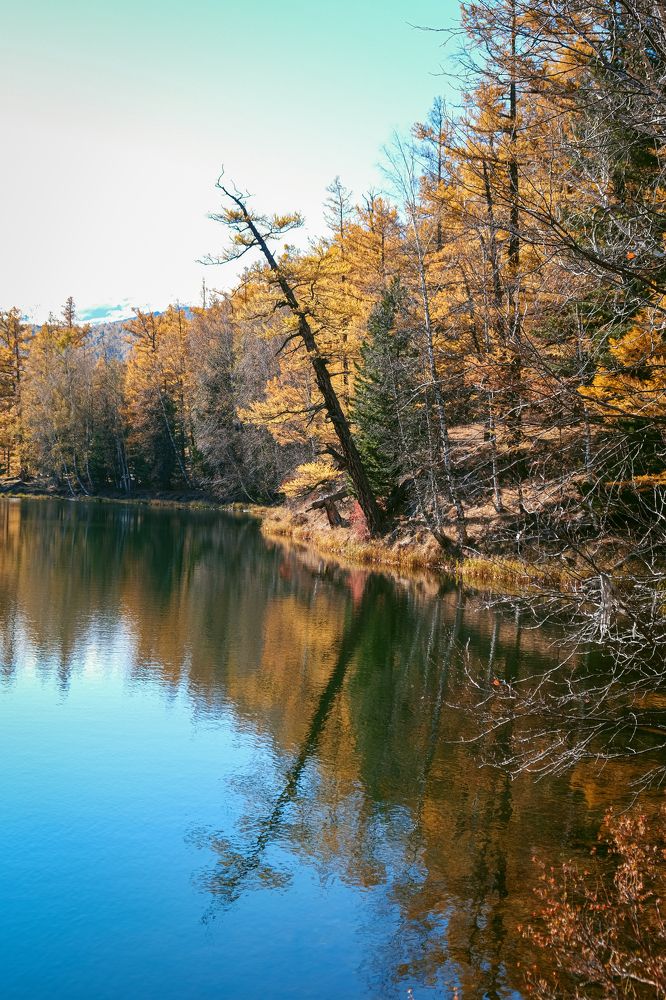 Photograph by Евгений Соколов