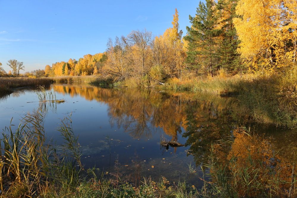 Photograph by Ирина Сушко