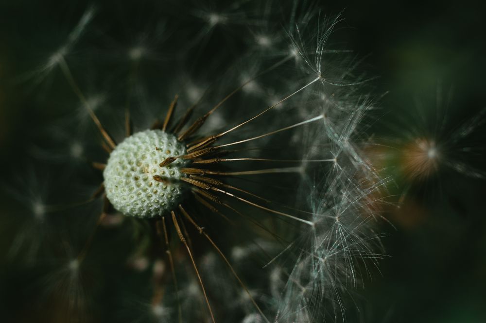 Photograph by Kamil Stępień