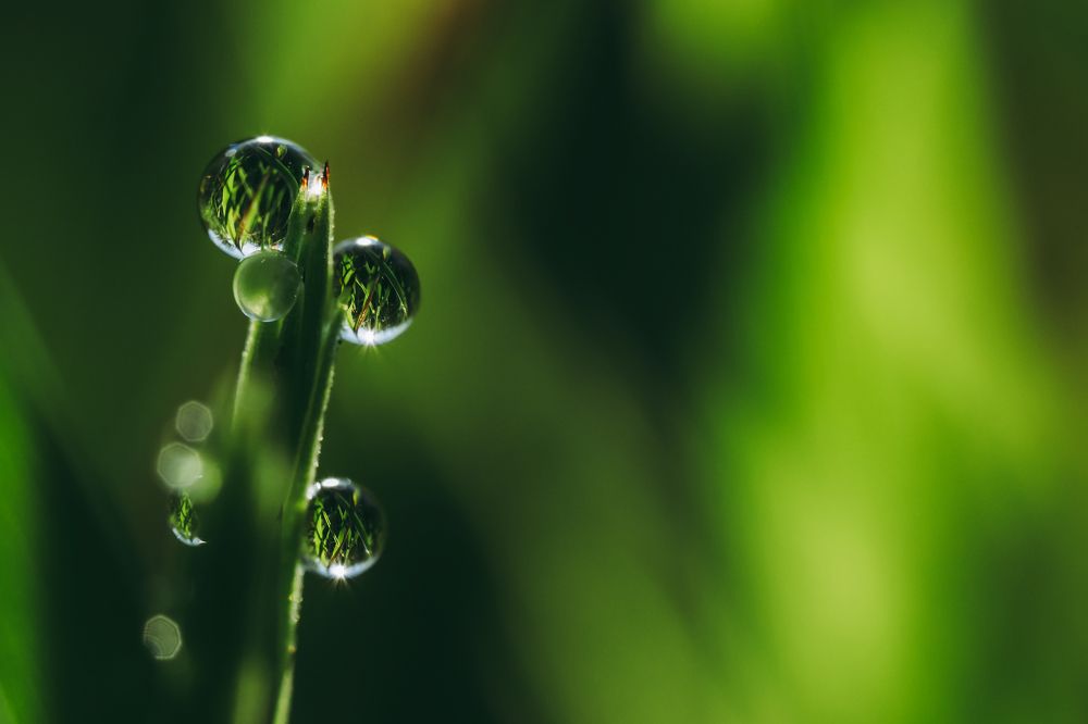 Photograph by Kamil Stępień