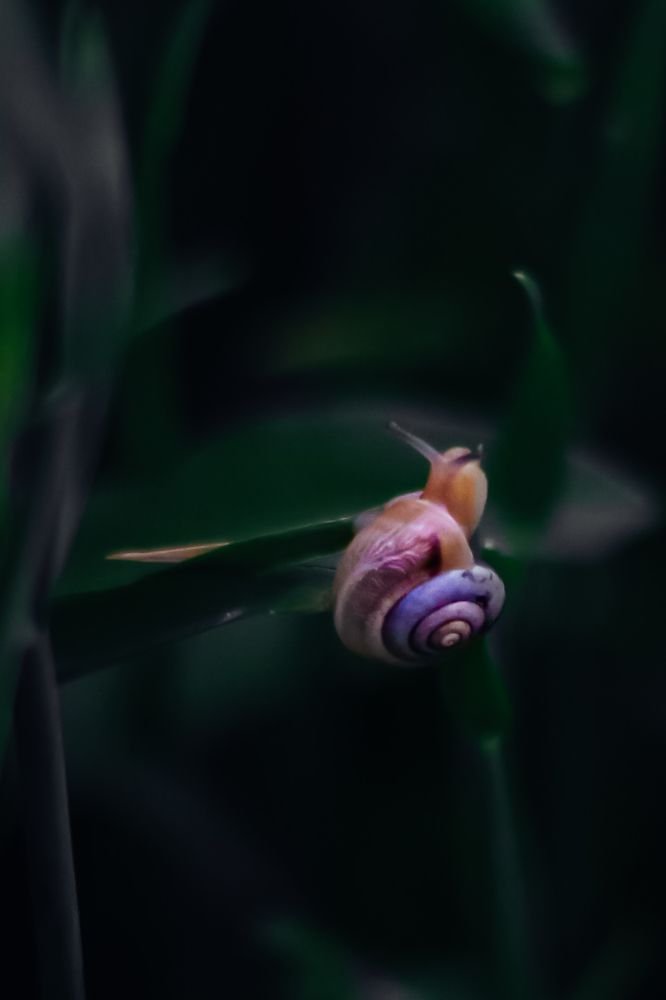 Photograph by Юлия Щербань