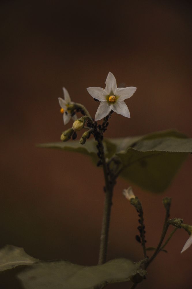 Photograph by Юлия Щербань
