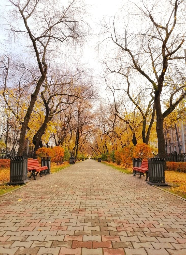 Photograph by Екатерина Абросова