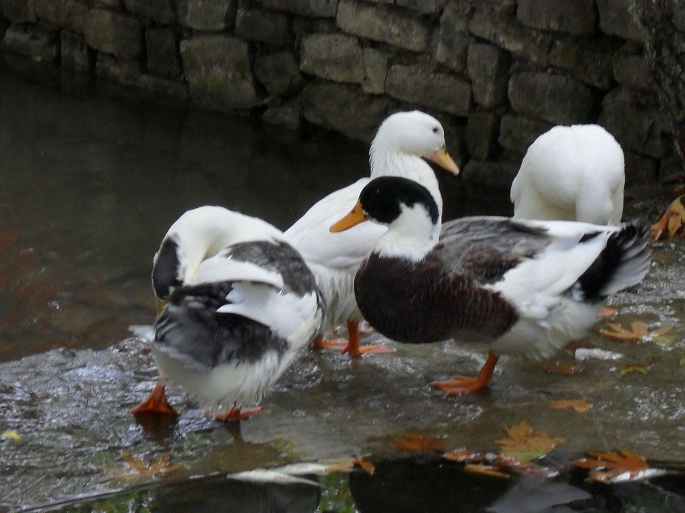 Photograph by Наталия