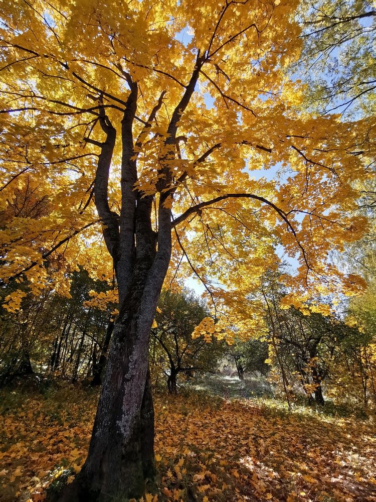 Photograph by Борис Баринов