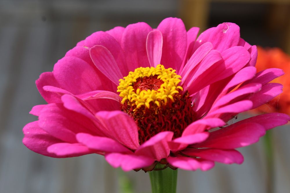 Photograph by Наталия