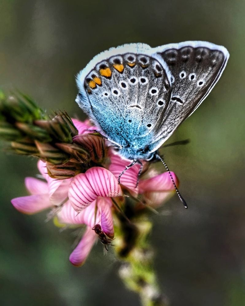 Фотография автора Марина