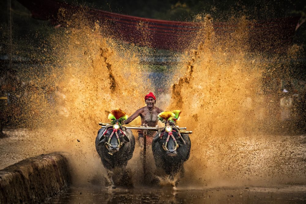 Photograph by pankaj narshana