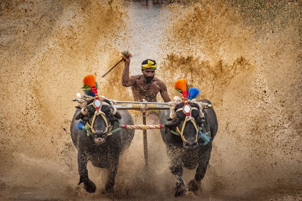 Photograph by pankaj narshana