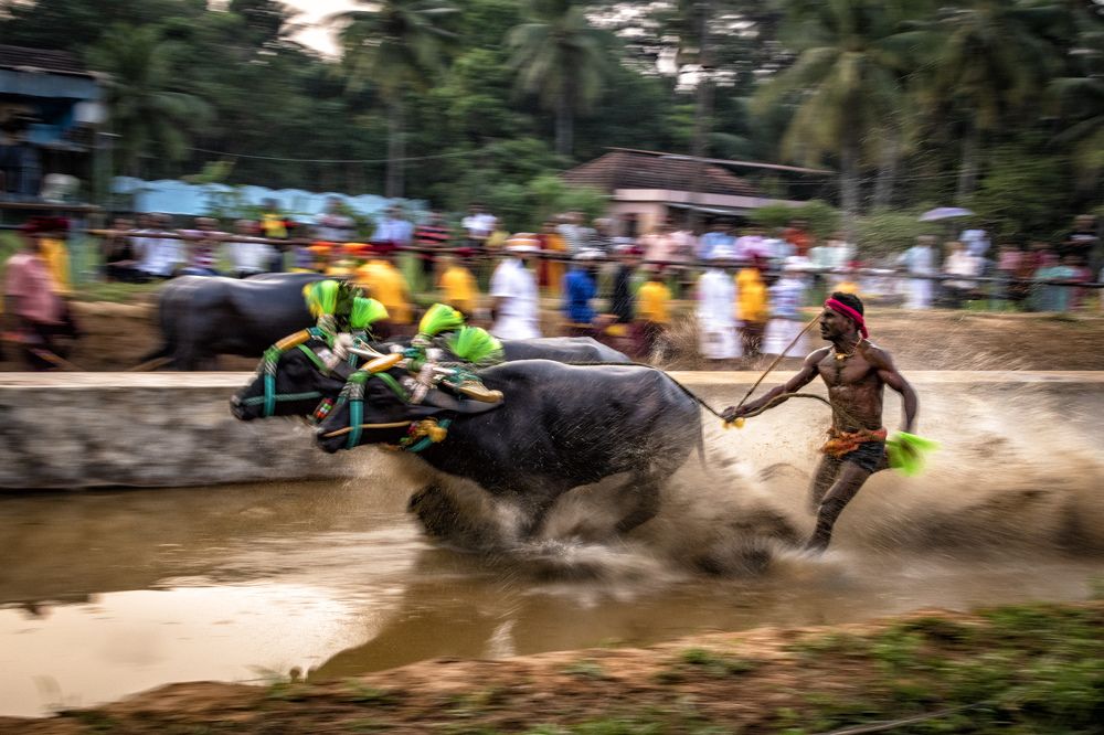 Photograph by pankaj narshana