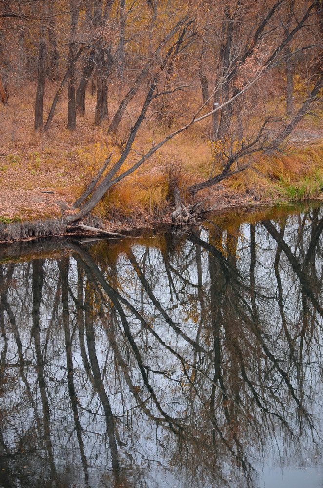 Photograph by Ольга Мокрова