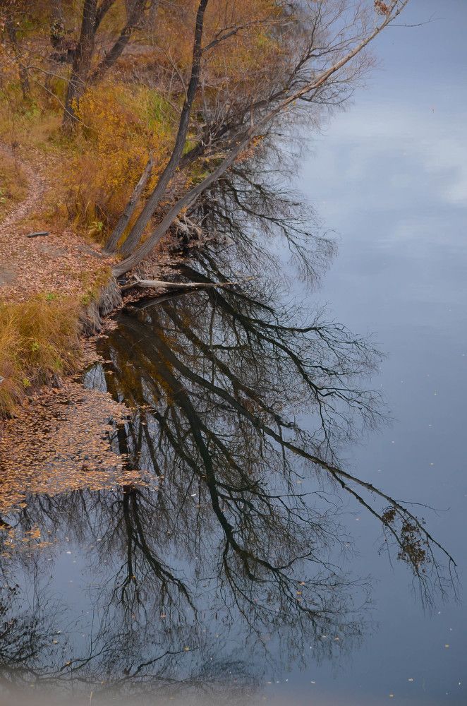 Photograph by Ольга Мокрова