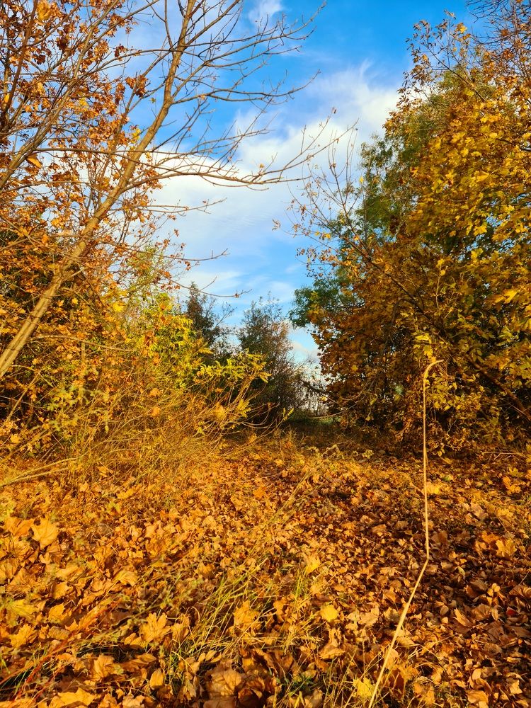 Photograph by Сергей Мамалюк