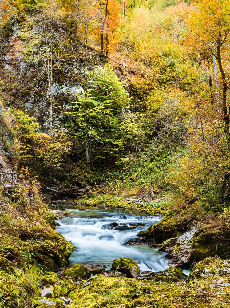 Photograph by Paweł Bykowski