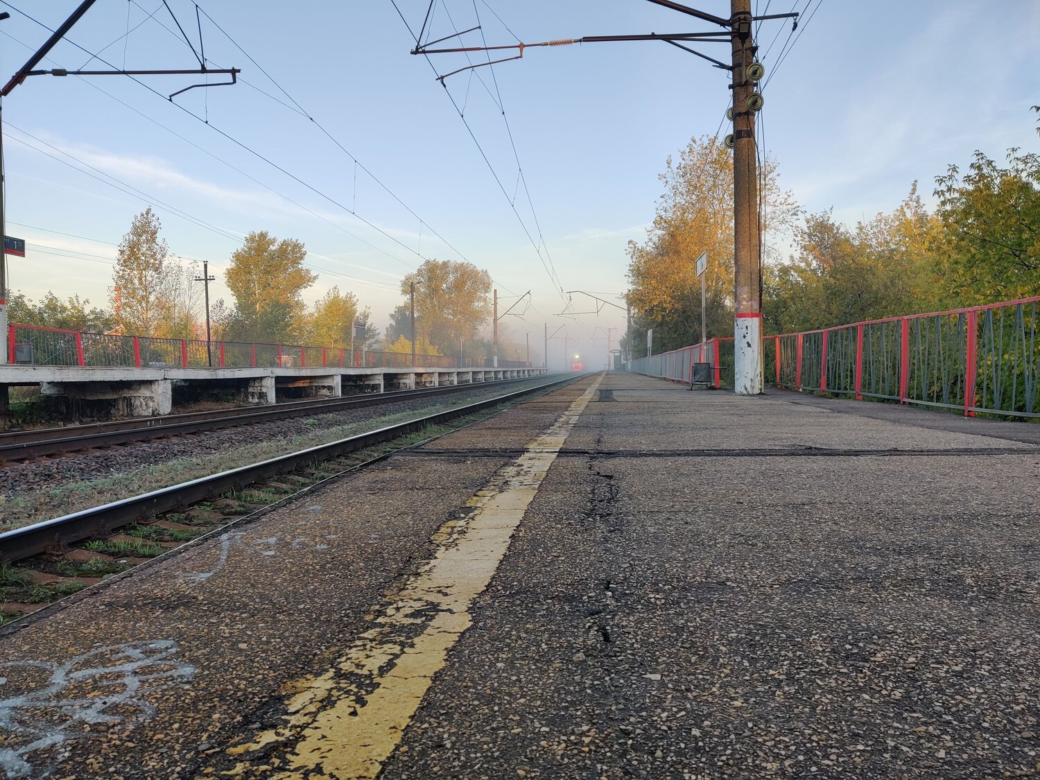 Photo #6642866