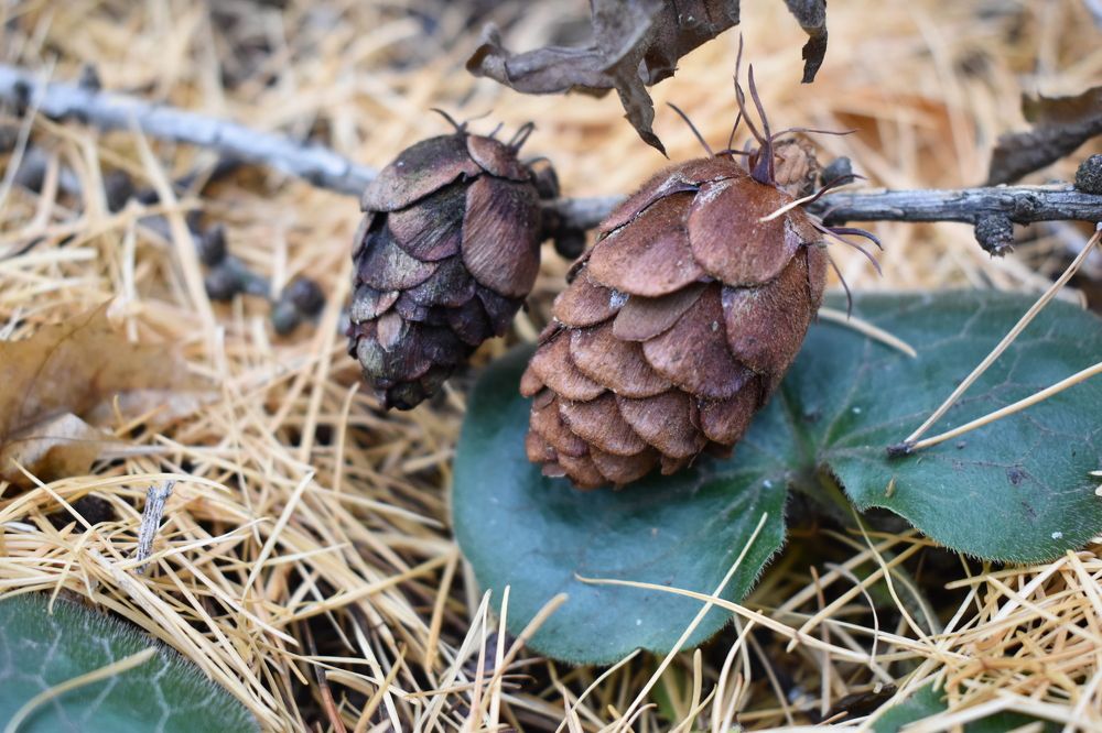 Photograph by Сергей Головин