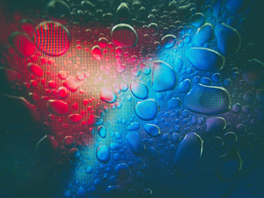 Photograph by Анжела Надежда