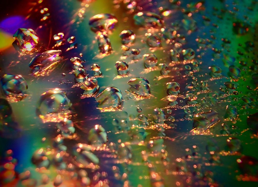 Photograph by Анжела Надежда