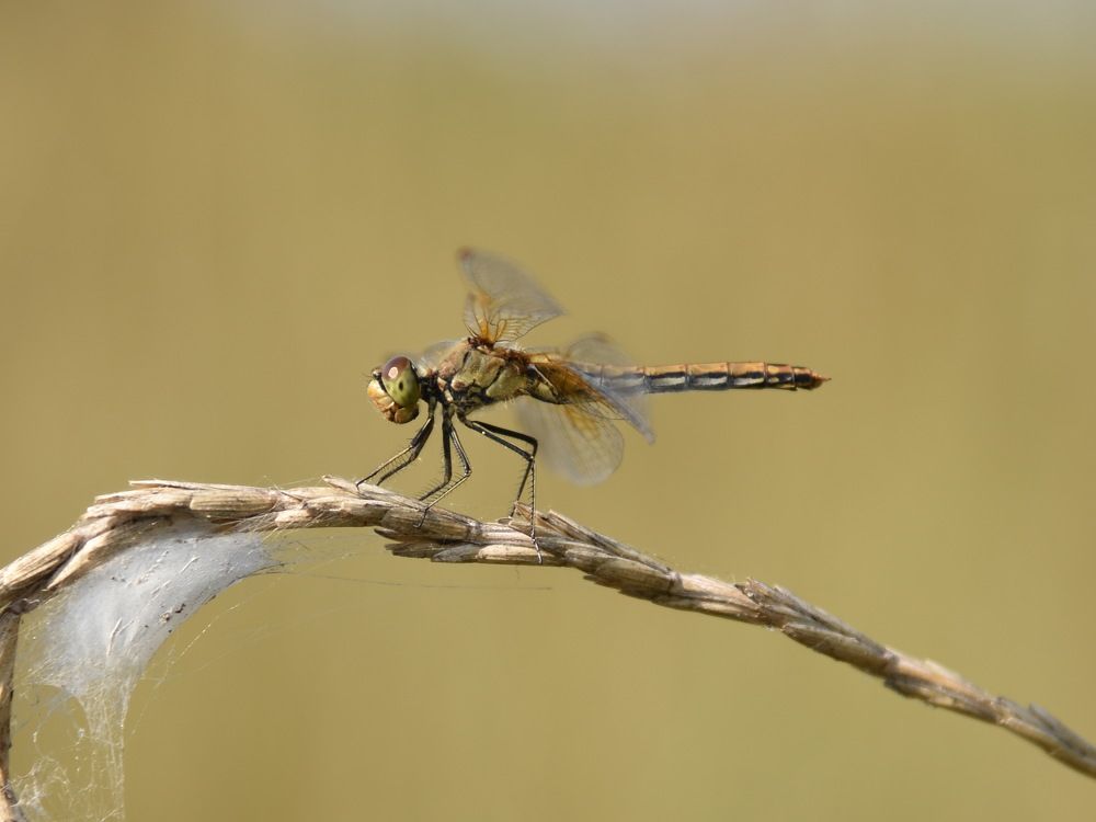 Photograph by Андрей Митькин