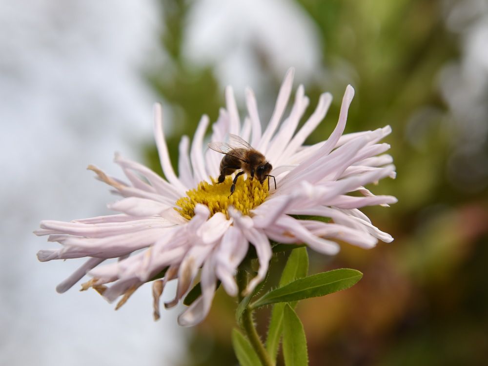 Photograph by Андрей Митькин