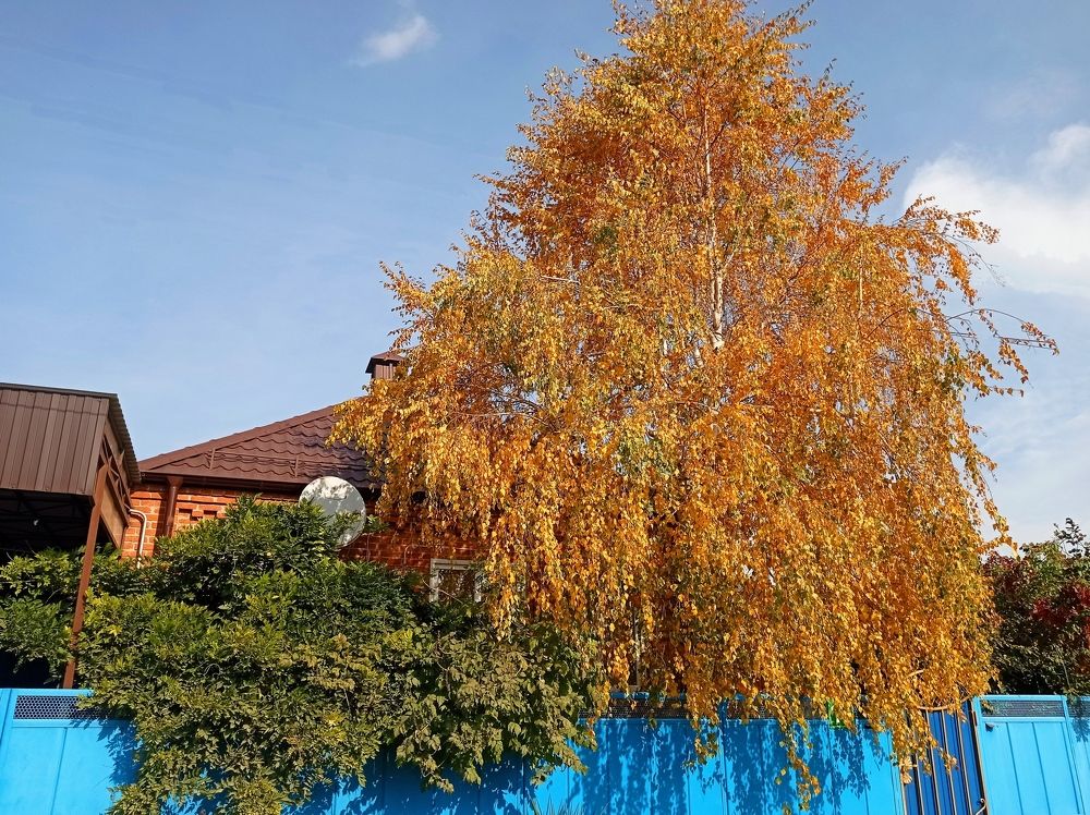 Photograph by Наталья Стальмакова