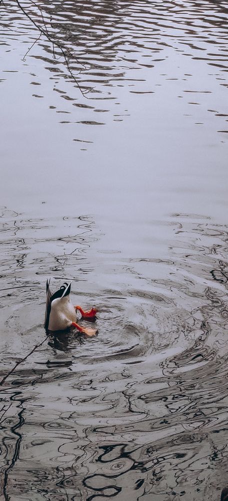 Photograph by Андрей Голобоков