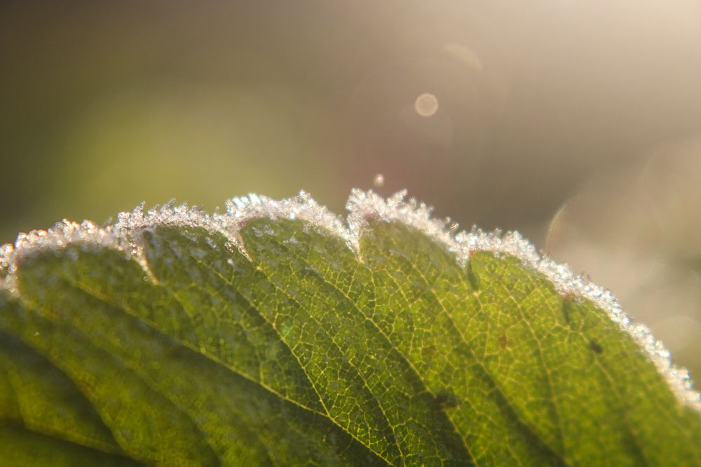 Photograph by Алексей Резниченко