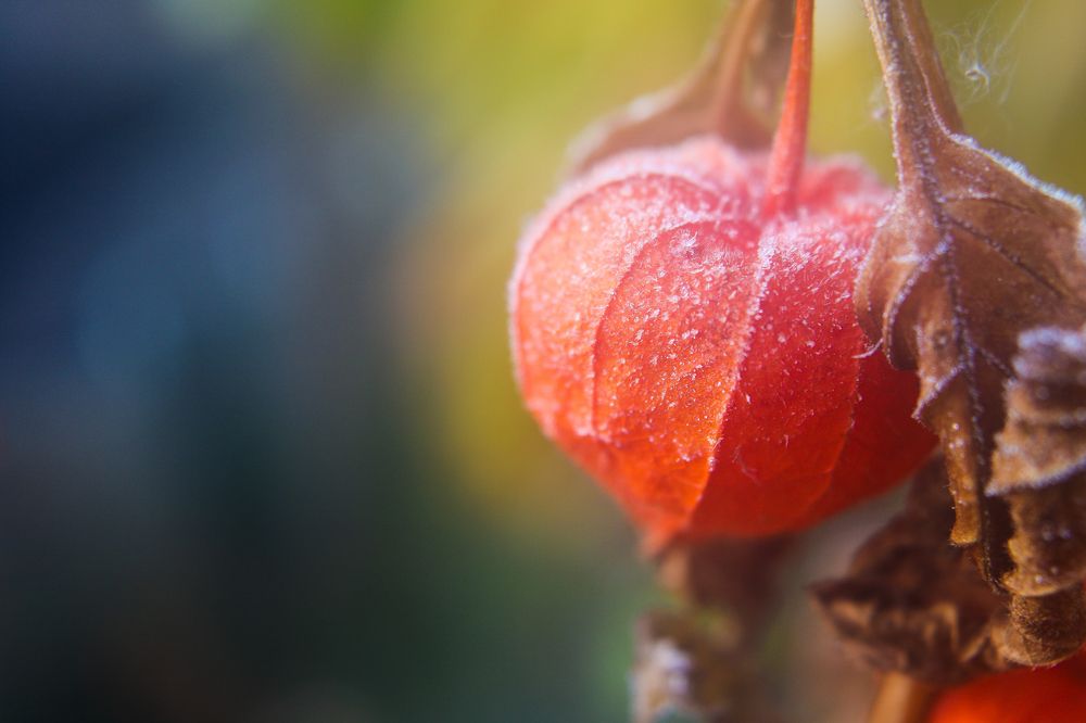 Photograph by Алексей Резниченко