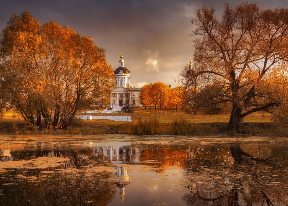 Золотистый закат