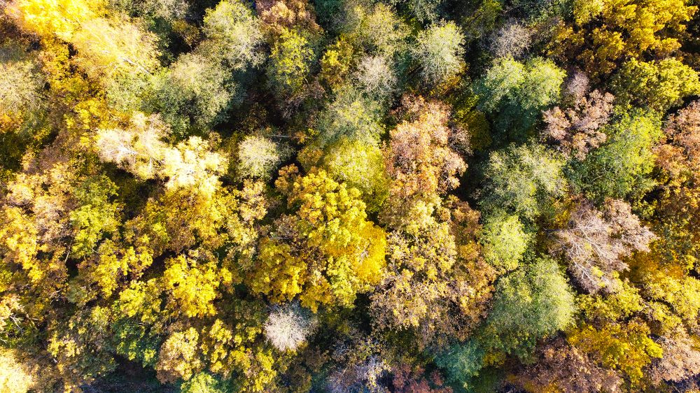 Photograph by Алексей Резниченко