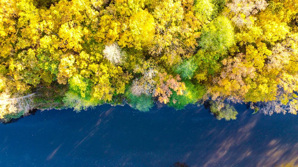 Photograph by Алексей Резниченко