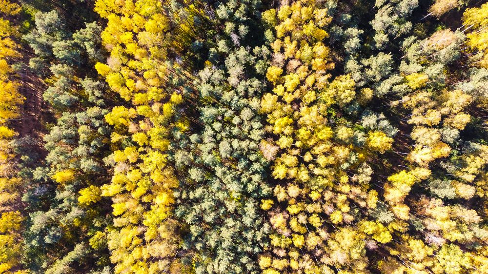 Photograph by Алексей Резниченко