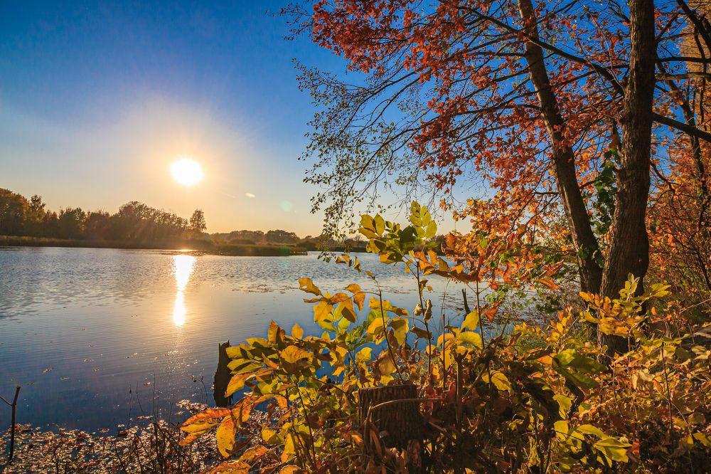 Photograph by Евгений Глазунов