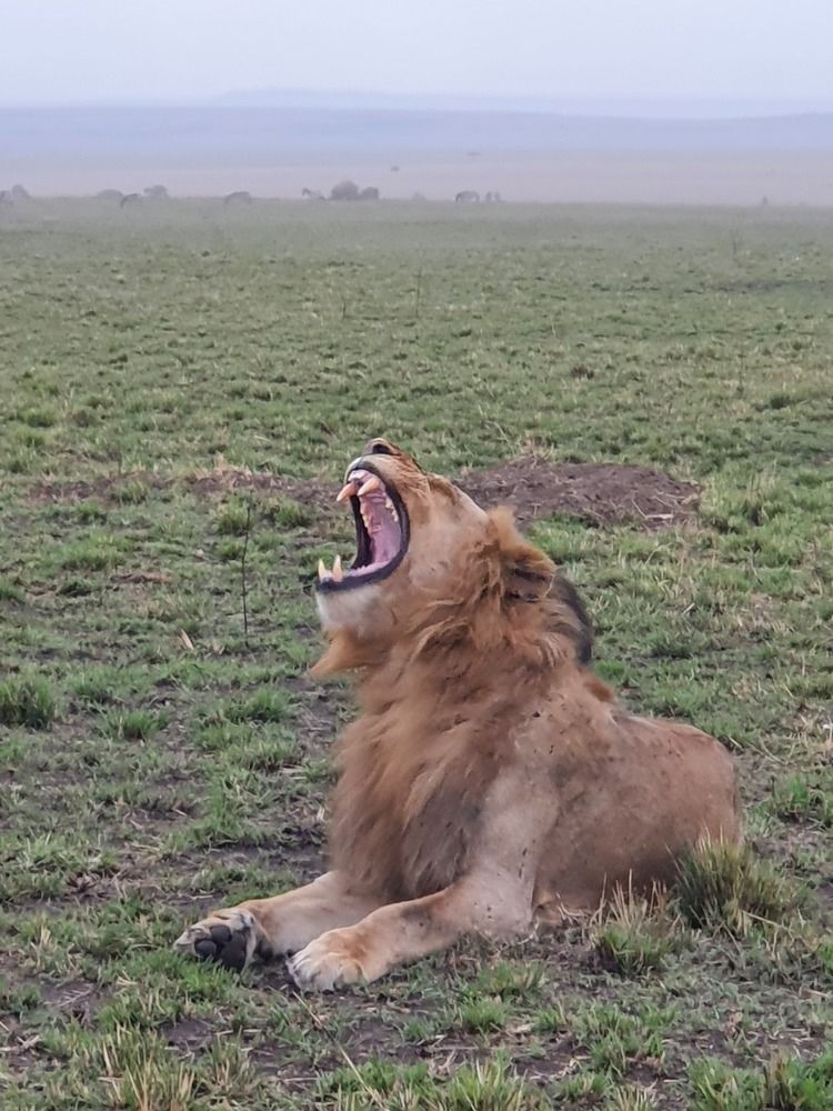 Photograph by Geoffrey Kariuki
