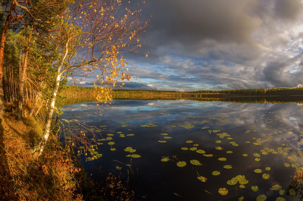 Photograph by Марина Мурашова