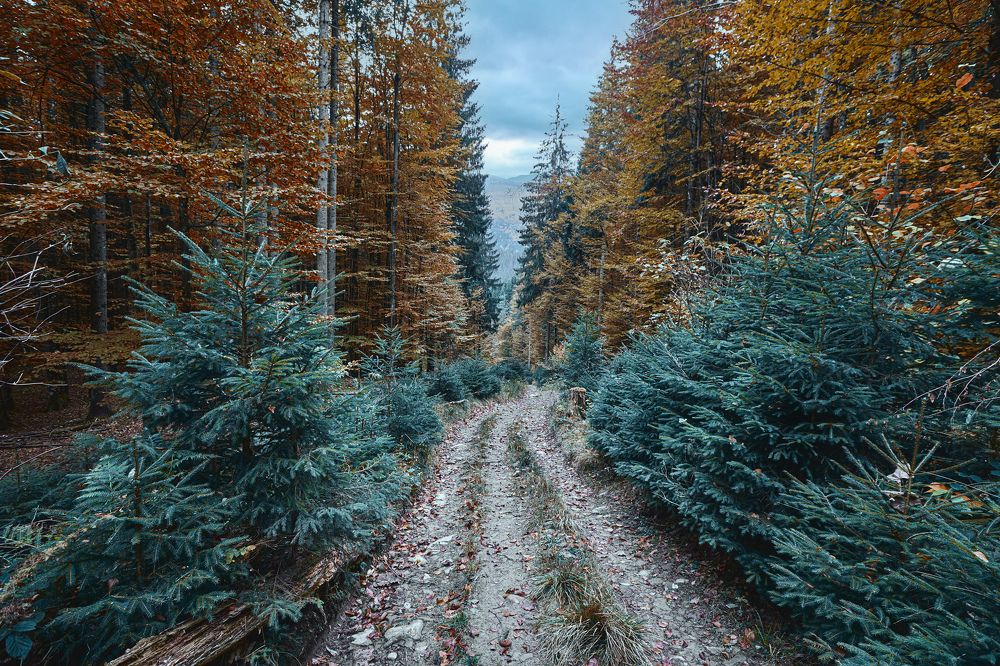 Photograph by Игорь