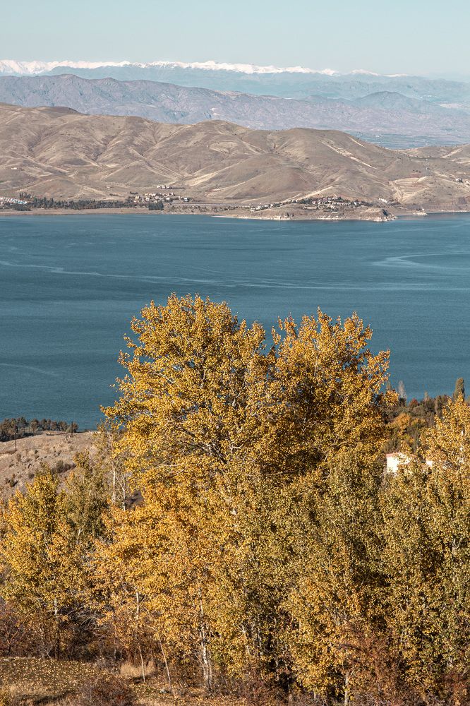 Фотография автора senol zumrut