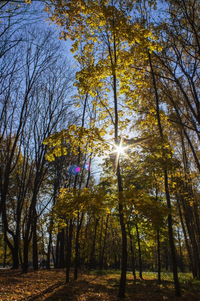 Photograph by  Vladimir