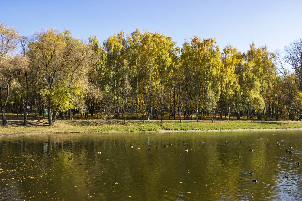 Photograph by  Vladimir