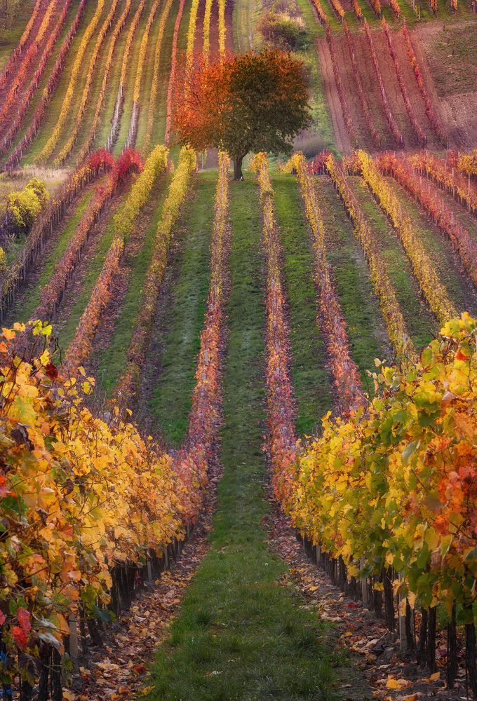 Photograph by Василий Яковлев