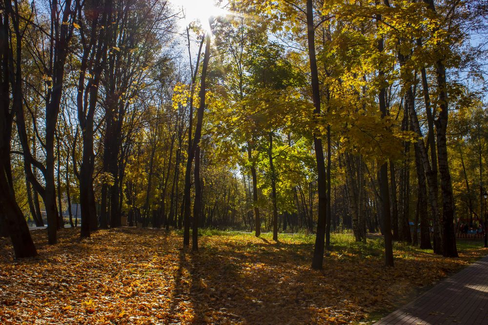 Photograph by  Vladimir